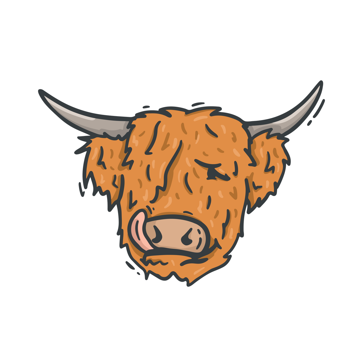 Hector the Highland Coo Illustration