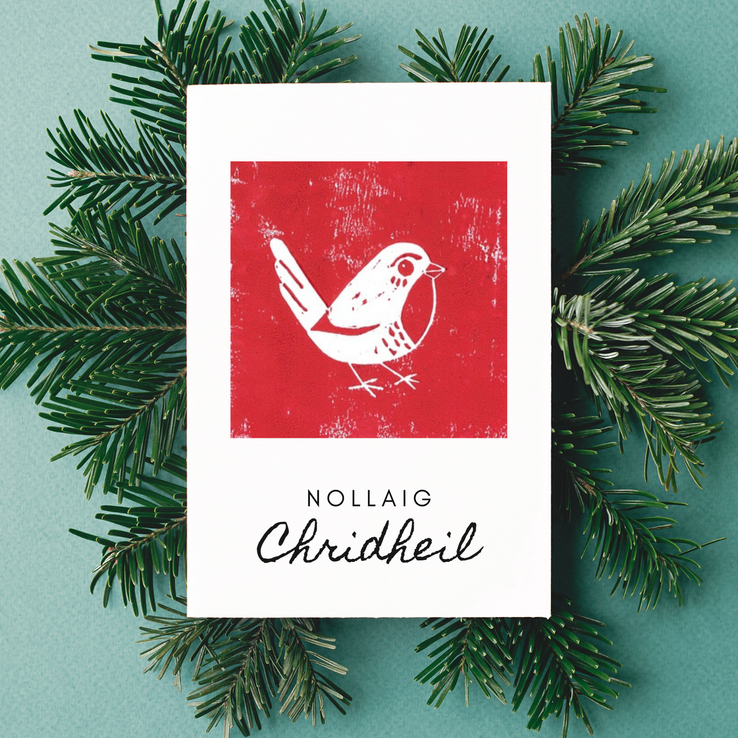 Cairt Nollaig Bò Ghàidhealach/Brù-Dhearg - Paca de 10