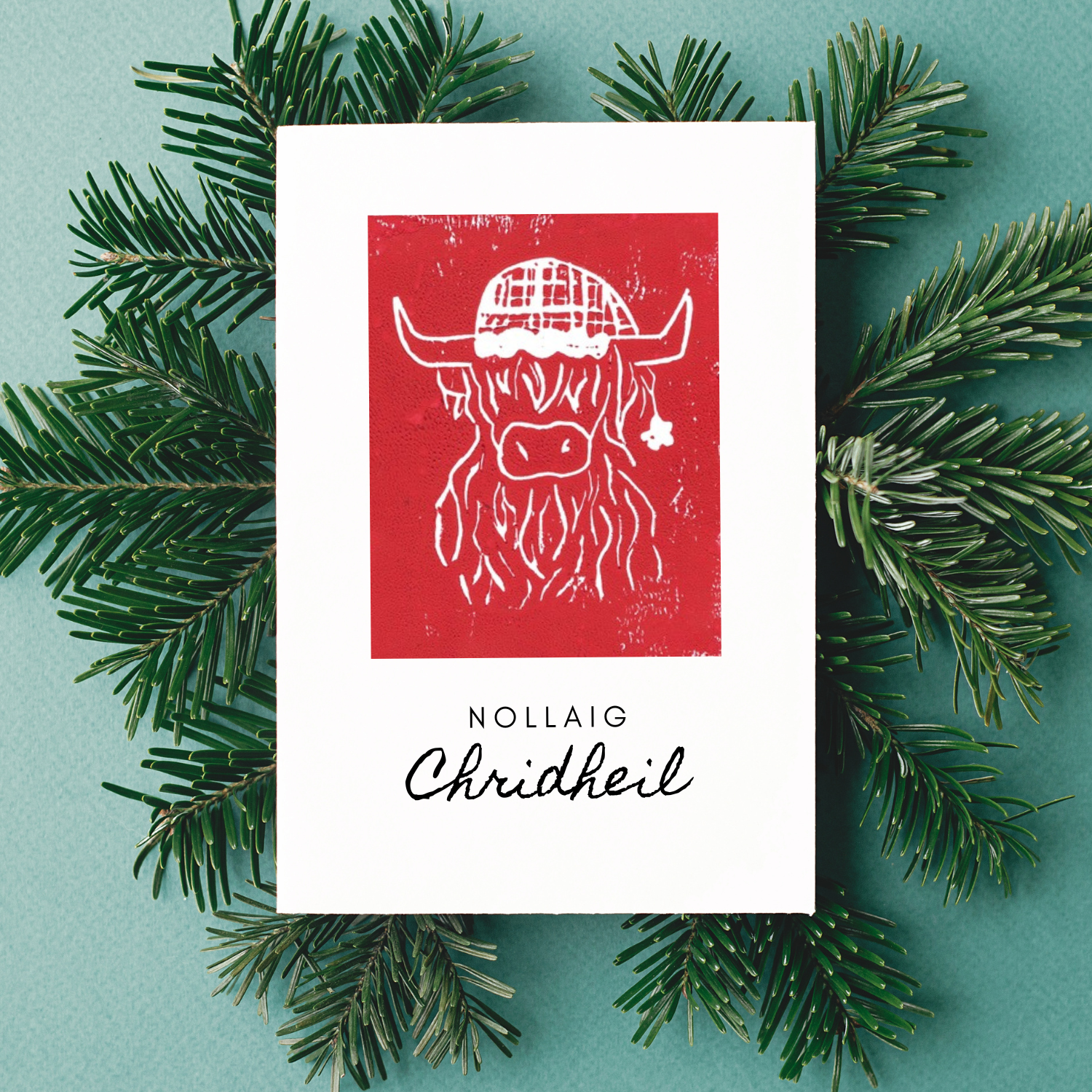 Cairt Nollaig Bò Ghàidhealach - Paca de 5